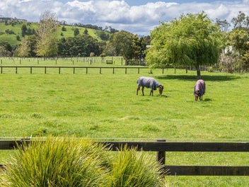 One-of-a-Kind Country Estate