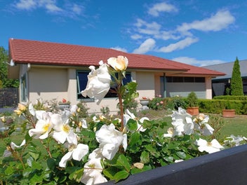 Highly Motivated Vendors !!