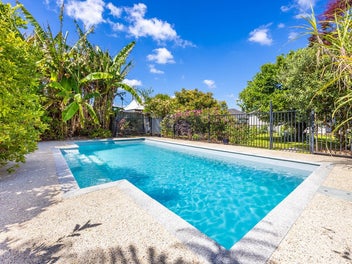 Sanctuary in the City