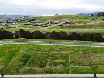 Backyard to Swing the Cat