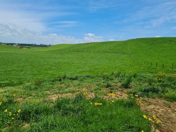 BUILD YOUR DREAM HERE!