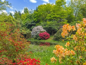 Vendor moving overseas - must sell