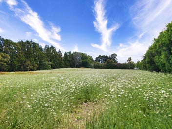 Prime Maunu Opportunity – Dress-Circle Landholding