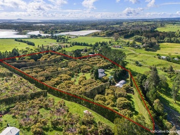 IDEAL FOR KIWIFRUIT CONVERSION