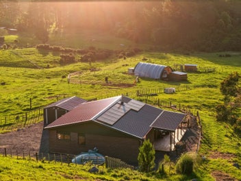 A story of freedom, sunshine, and simple living