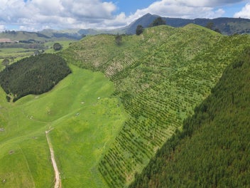 Forestry, Farming and Lifestyle