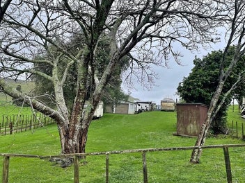 FREEHOLD Section KAWHIA