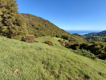 Image 1 of 22