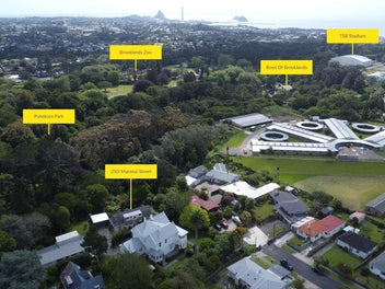 FAMILY HOME NEIGHBOURING PUKEKURA PARK