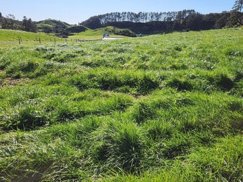 Go Country - Upland Road