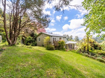 Vacant and Ready for You! - Privacy, Bush, Views