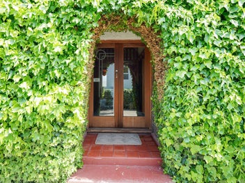 Classic charm on Herbert