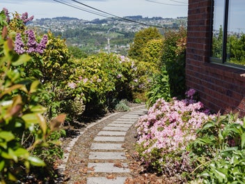 Sunny living on the hill