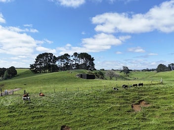 Prime Lifestyle - 5 ha Bare land close to town