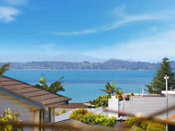 Exceptional Golden Site and Serious Seller