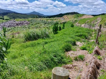 Profitable plantings