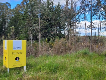 Rural Lifestyle Opportunity - Ohai