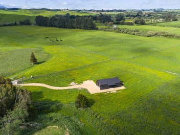 Lifestyle freedom + Brand-New