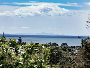 Concrete Construction For Extended Family