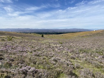 Lifestyle - With Your Weekends Free!