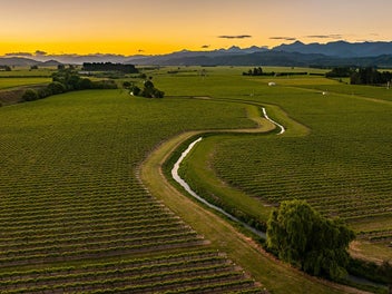 PURE CLEAN NZ – BOTTLE YOUR OWN BRAND OF WINE