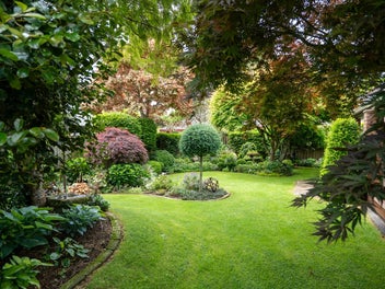 Tranquility and Character