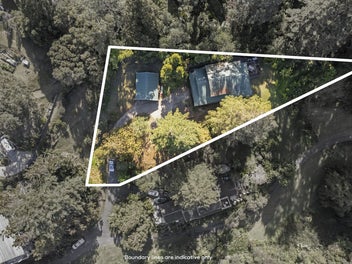 Escape to Arkles Bay: Your Private Redwood Retreat