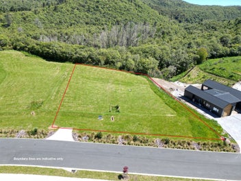 Native bush backdrop