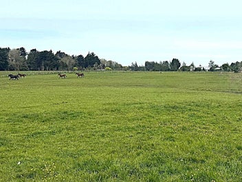 Expansive 2.336 Hectares in Myross Bush Awaits You