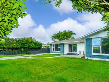 Big Section, Big Potential