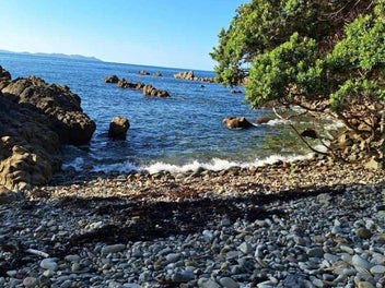 Stunning Coastal Views with Direct Beach Access,