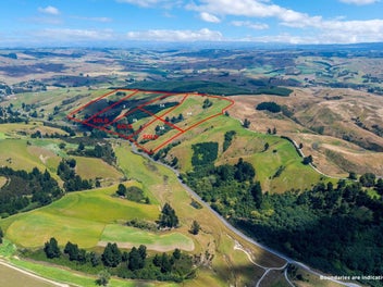 The authentic Otago dream - Gabriels Gully Estate