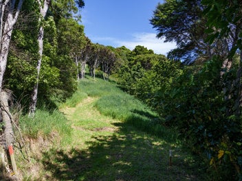 Elevated, private and secluded section