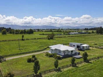 New home for the new year