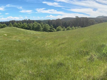 Bare Land Stunning Lake Views