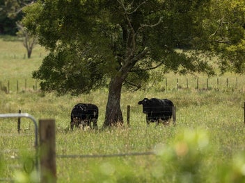 Life in the Country Couldn't Be More Perfect