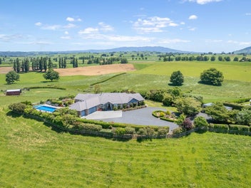 Executive living above, truffle gold beneath