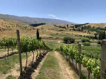 An Elevated Investment