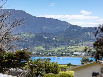 Elevated Omaha Beach Life