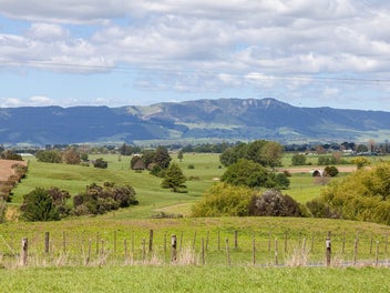 Two prime rural sections - minutes from Matamata
