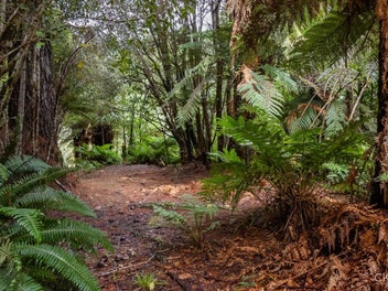 A Hunter’s Paradise