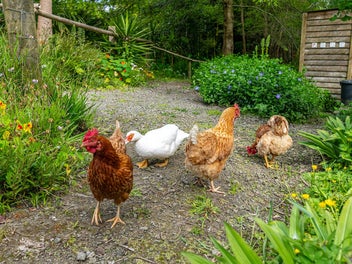 Vendor says "Present all offers"