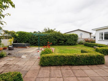 TEAM LEWIS - HOP, SKIP, & A JUMP TO BULLS SCHOOL