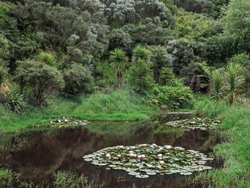 5.66ha Harbourside Haven