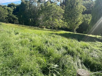 Hidden 5,391m² Lifestyle Oasis – Mature Fruit Tree