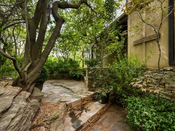 Listen to the Bird Song