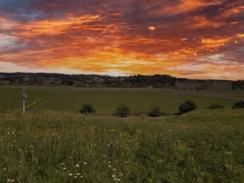 A Hectare of Happiness in Waimauku