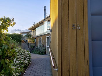 Picture Perfect on Panorama