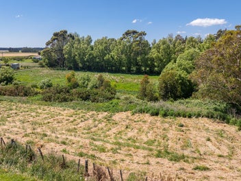 Choose Your Adventure