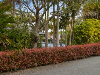 Cosy & Compact with Massive Charm